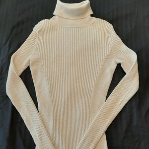Express Turtle Neck Sweater